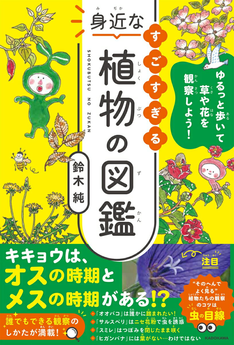 ゆるっと歩いて草や花を観察しよう！ すごすぎる身近な植物の図鑑 [ 鈴木　純 ]