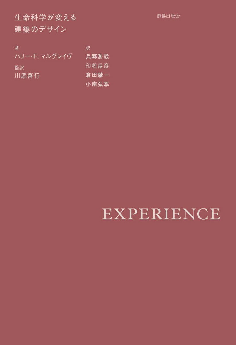 EXPERIENCE