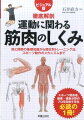 筋と関節の基礎知識から部位別トレーニング法、スポーツ動作のメカニズムまで。