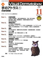 Visual D. 2018年11月号Vol.17No.11