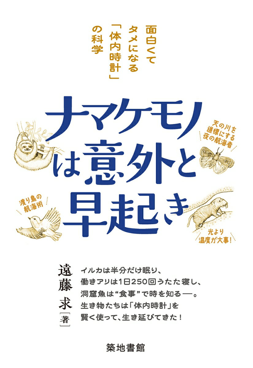 ナマケモノは意外と早起き