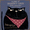 A Year of Snarky Cats 2021 Wall Calendar YEAR OF SNARKY CATS 2021 WALL Dan DiPaolo