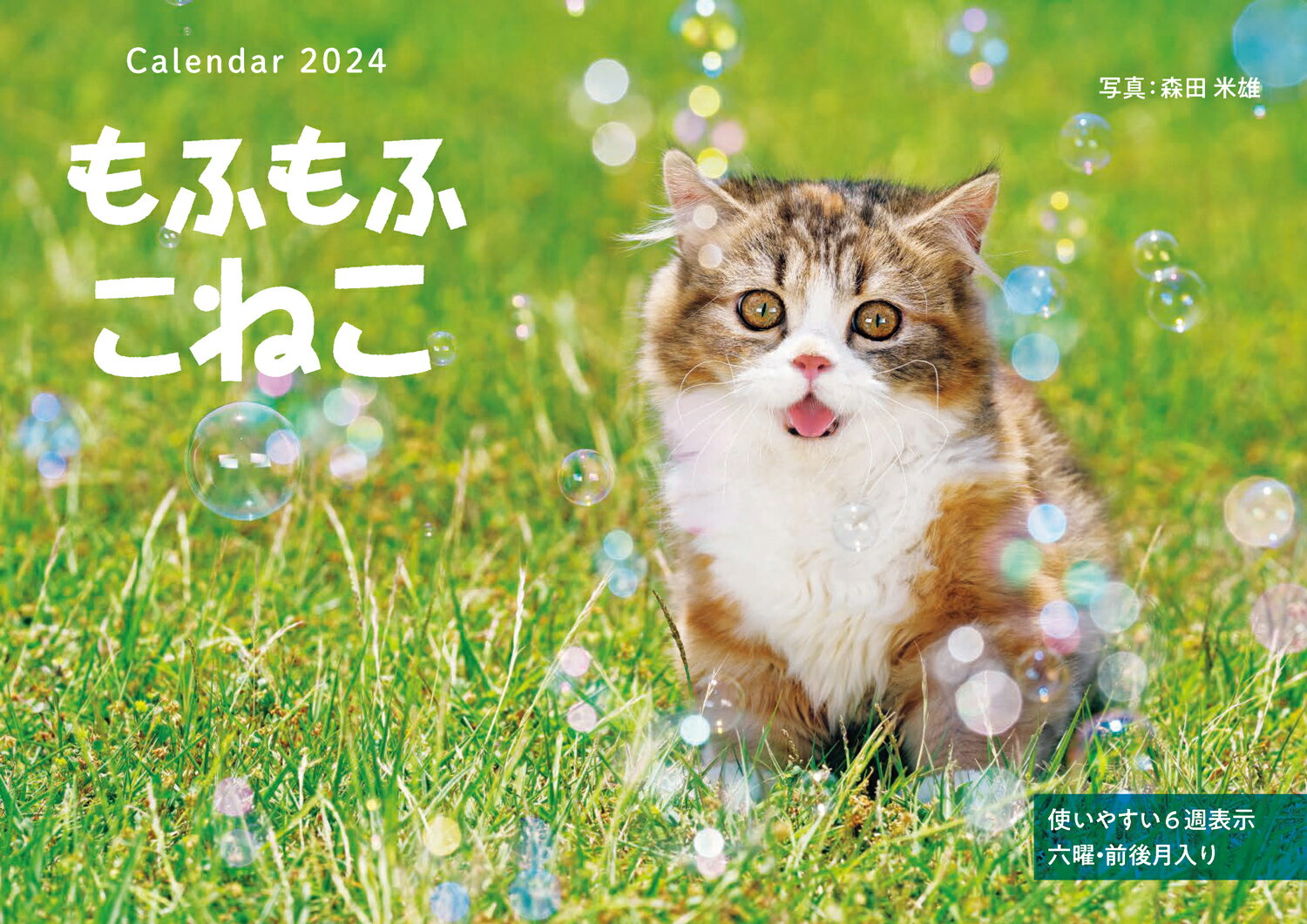 もふもふこねこ （インプレスカレンダー2024） [ 森田米雄 ]