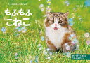 もふもふこねこ （インプレスカレンダー2024） 森田米雄