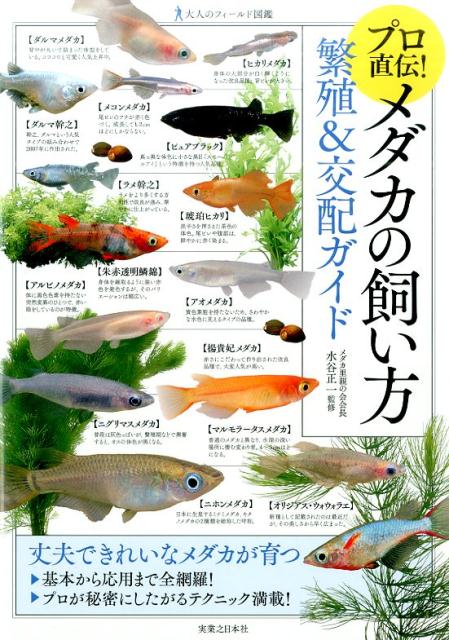 プロ直伝 メダカの飼い方繁殖＆交配ガイド 大人のフィールド図鑑 [ 水谷正一 ]