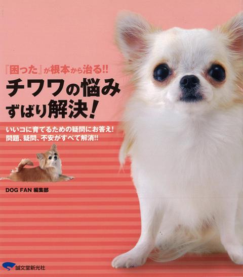 【バーゲン本】チワワの悩みずばり解決！