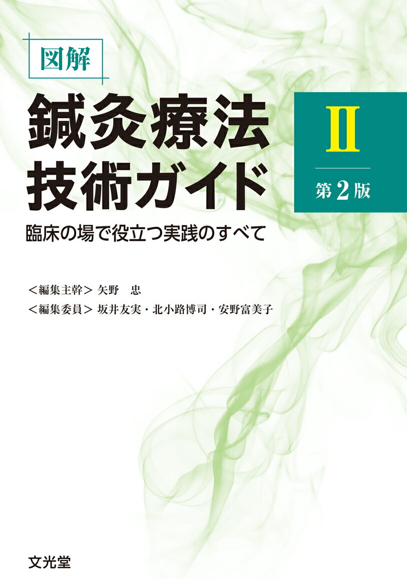 図解鍼灸療法技術ガイド2 第2版　臨床の場で役立つ実践のすべて