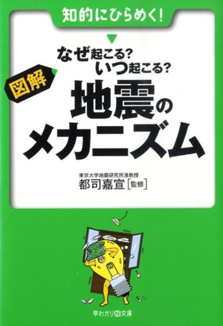 図解・なぜ起こる？いつ起こる？地震のメカニズム