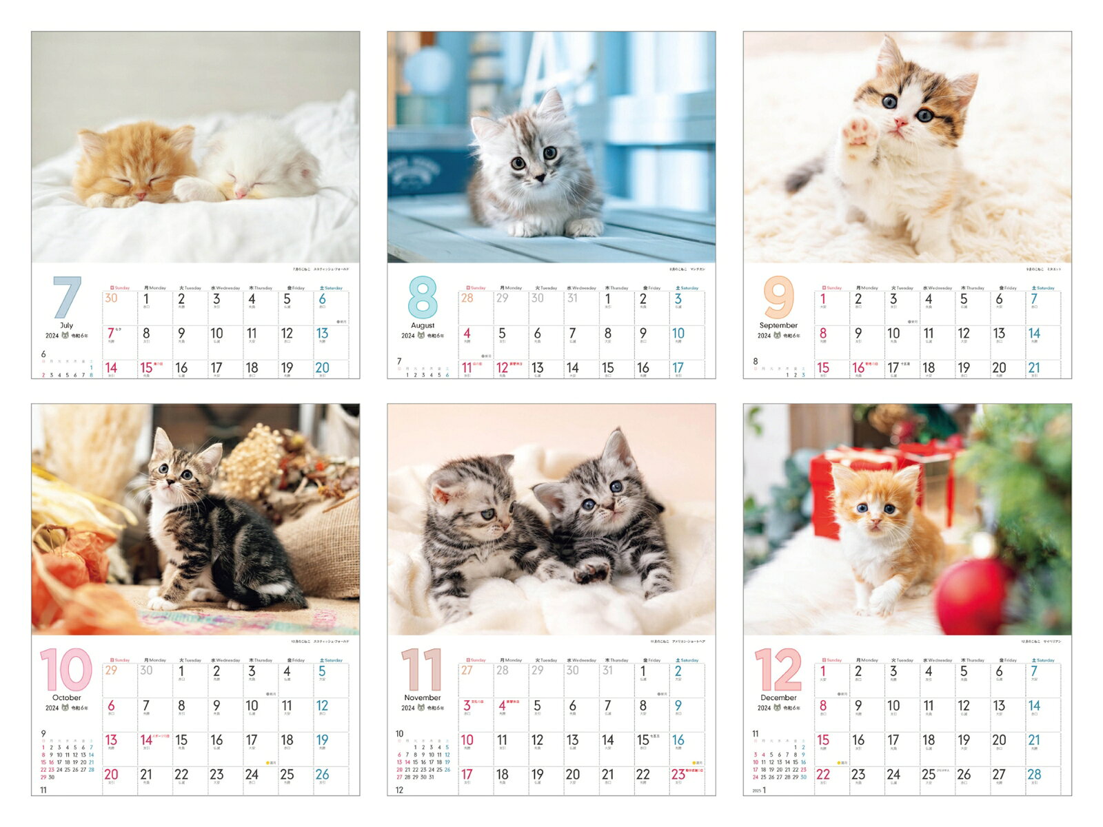 �������������Τդ�դ盧�ˤ�� �ʥ���ץ쥹��������2024�� [ �����ʥ��˥ޥ�饰����� ]