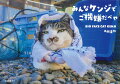 北海道のなまらデッカイ猫・ケンジはいつもご機嫌。がんばりすぎないマイペースぶりで、いつの間にやらみんなを笑顔にしてしまう。不思議なボス猫物語、第二弾。