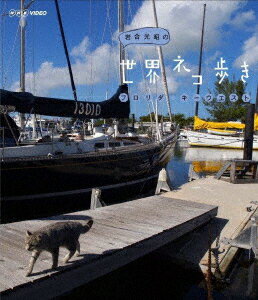岩合光昭の世界ネコ歩き フロリダ・キーウエスト【Blu-ray】