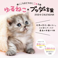 こころおだやかにニャる ゆるねこ×ブッダの言葉