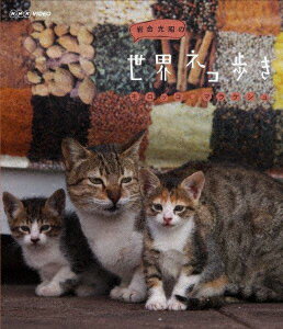 岩合光昭の世界ネコ歩き モロッコ・マラケシュ【Blu-ray】