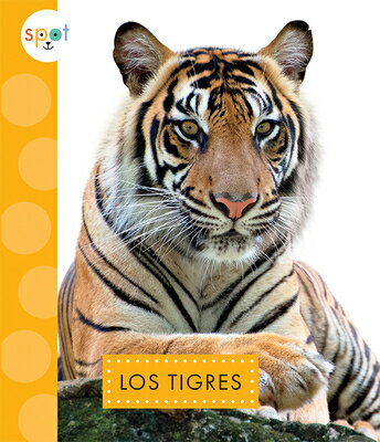 Los Tigres SPA-GATOS SALVAJES TIGRES （Gatos Salvajes） 