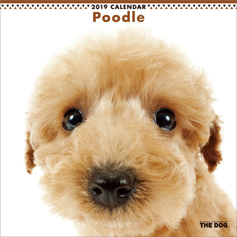 プードル（2019年1月始まりカレンダー）