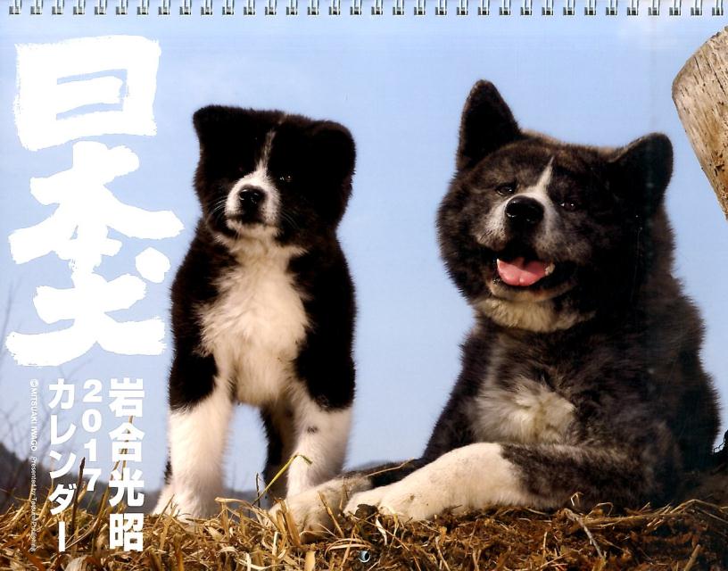 【壁掛】岩合光昭　2017カレンダー　日本犬