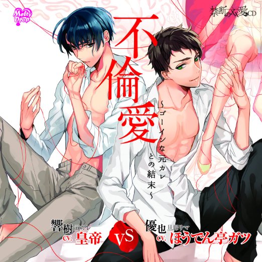 禁断の××愛CD「不倫愛〜ゴーインな元カレとの結末〜」