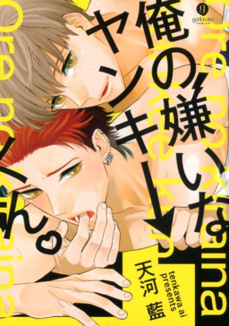 俺の嫌いなヤンキーくん。