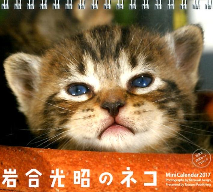 【卓上】2017ミニカレンダー　岩合光昭のネコ