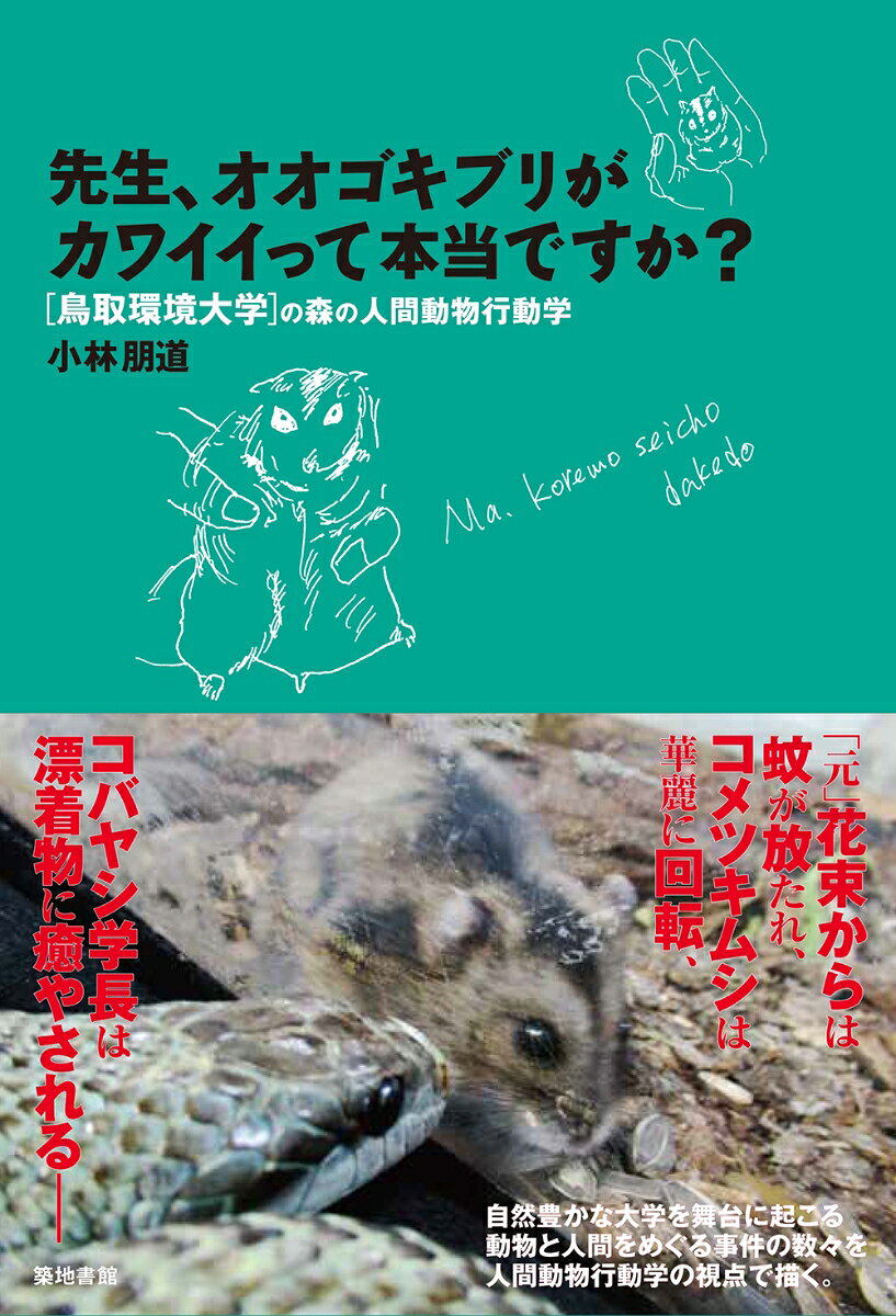 先生、オオゴキブリがカワイイって本当ですか？
