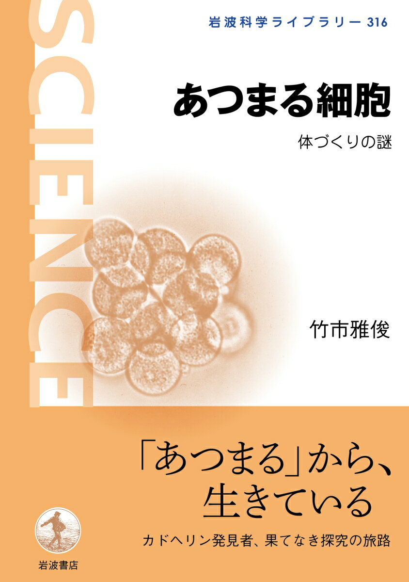 あつまる細胞 体づくりの謎 （岩波科学ライブラリー　316） [ 竹市 雅俊 ]