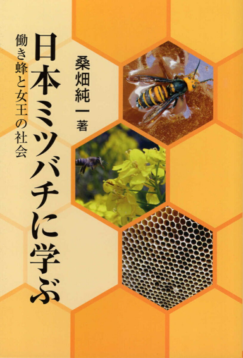 日本ミツバチに学ぶ 働き蜂と女王の社会 