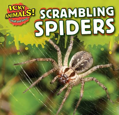 Scrambling Spiders SCRAMBLING SPIDERS （Icky Animals! Small and Gross） 