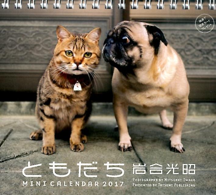 【卓上】2017ミニカレンダー　岩合光昭　ともだち