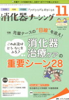 消化器ナーシング（Vol．24 No．11（11）