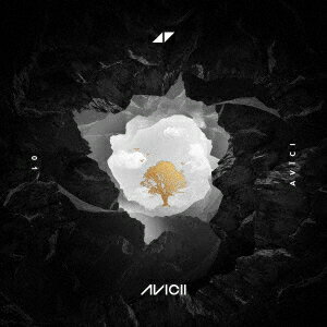 ȡ桼 [ Avicii ]