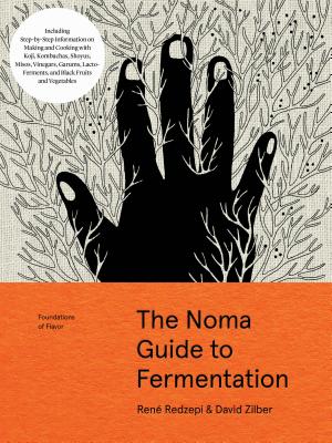 NOMA GUIDE TO FERMENTATION,THE(H)