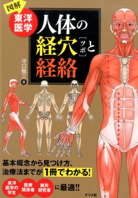 人体の経穴「ツボ」と経絡