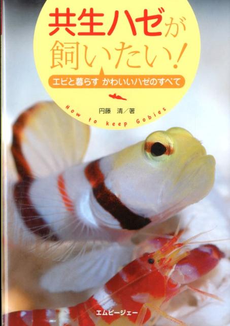 共生ハゼが飼いたい!