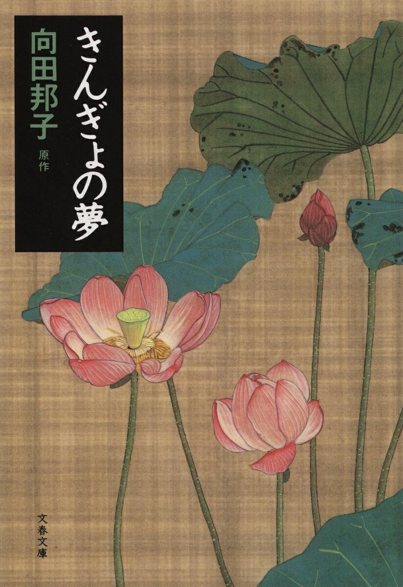 家族熱