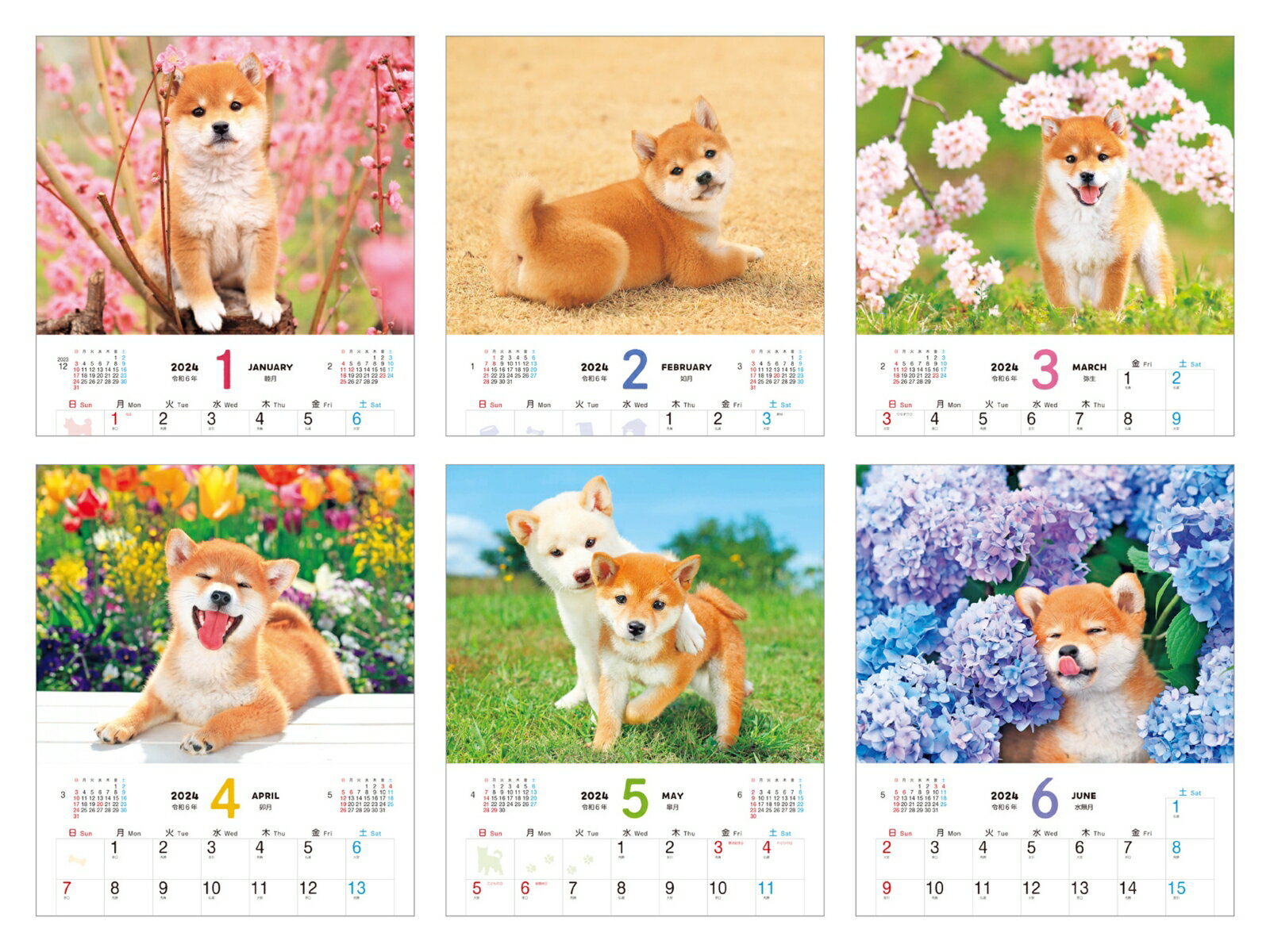しばいぬ日和 (インプレスカレンダー2024)...の紹介画像2