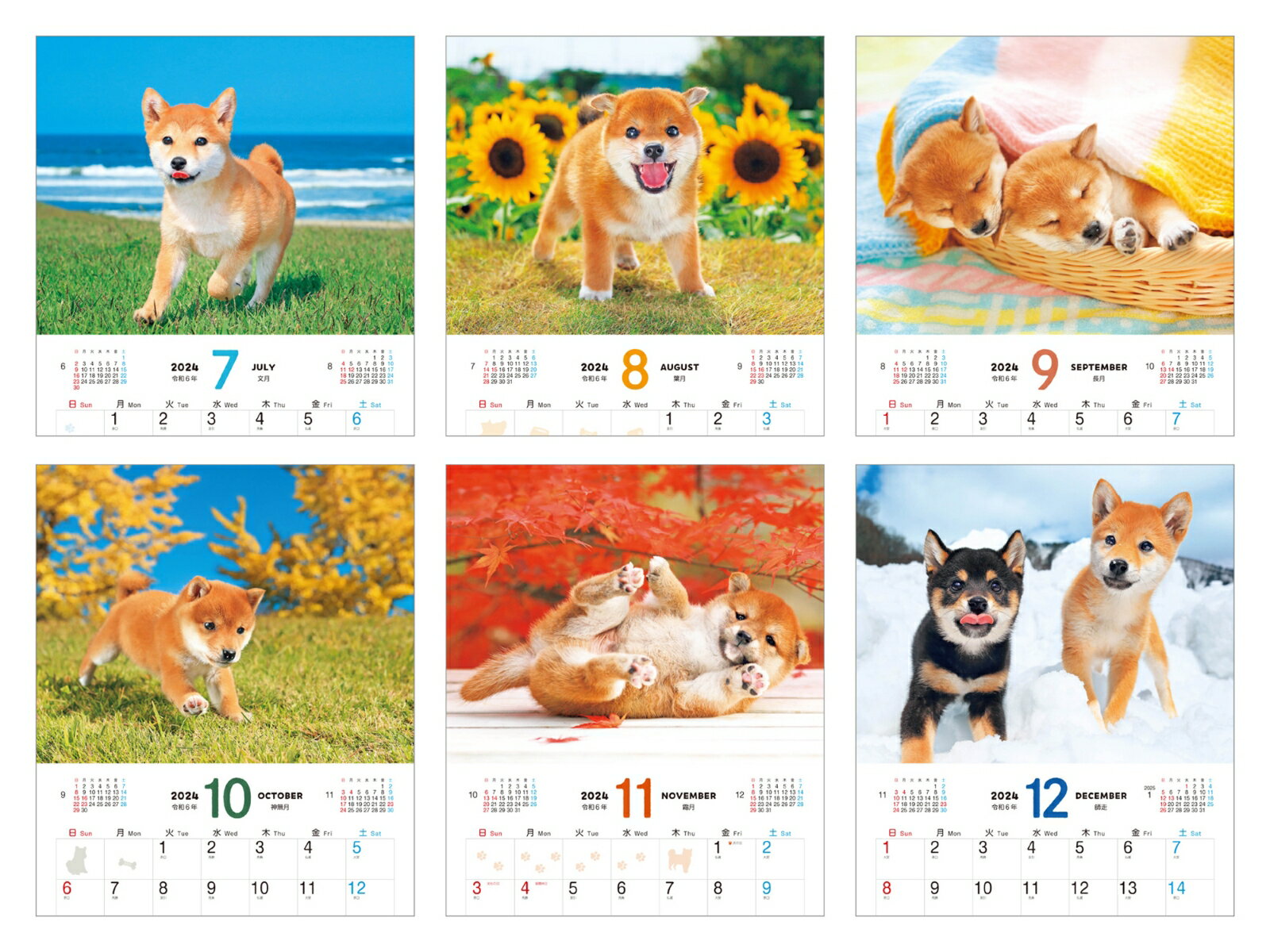 しばいぬ日和 (インプレスカレンダー2024)...の紹介画像3