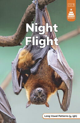 Night Flight NIGHT FLIGHT （Stairway Decodables Nonfiction Step 5） 