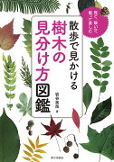 散歩で見かける 樹木の見分け方図鑑