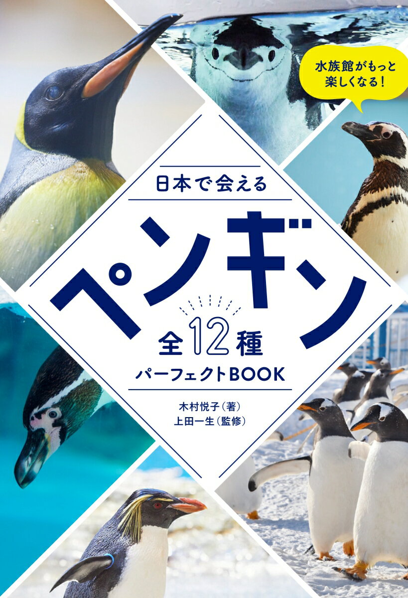 日本で会えるペンギン全12種パーフェクトBOOK [ 木村 悦子 ]