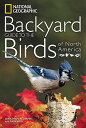 National Geographic Backyard Guide to the Birds of North America NATL GEOGRAPHIC BACKYARD GT TH （National Geographic Backyard Guides） [ Jonathan Alderfer ]