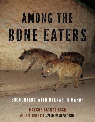 Among the Bone Eaters: Encounters with Hyenas in Harar AMONG THE BONE EATERS （Animalibus） [ Marcus Baynes-Rock ]