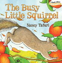 The Busy Little Squirrel BUSY LITTLE SQUIRREL-BOARD （Classic Board Books） [ Nancy Tafuri ]