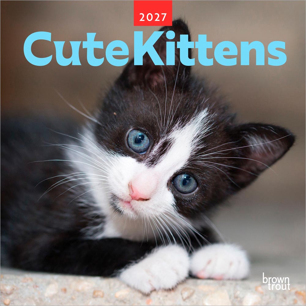 ふわふわで愛らしい子猫たちの姿を毎月楽しめる、2027年版の写真カレンダーです。

表紙の青い瞳の子猫をはじめ、花の中にちょこんと座る姿や、遊び盛りの無邪気な表情など、思わず笑顔になるような子猫写真を収録。猫好きの方はもちろん、かわいい動物写真を飾りたい方にもおすすめです。

各月ページには予定を書き込みやすいカレンダー面を備え、年間プランナーも付いた実用的な仕様。リビング、子ども部屋、デスクまわりなど、空間をやさしく明るい雰囲気にしてくれる一冊です。
海外仕様のため日本の祝日名は掲載されていません。インテリアやギフトにもおすすめです。