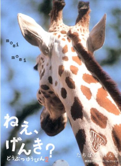 ねえ、げんき？（2）