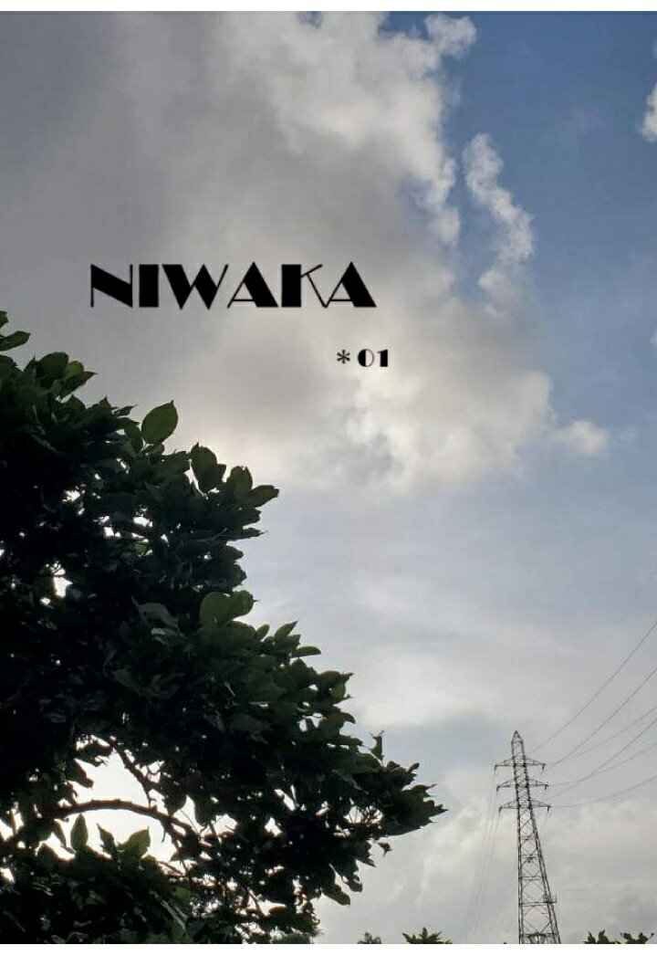 俄　NIWAKA 01 