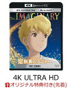 【楽天ブックス限定先着特典】屋根裏のラジャー【4K ULTRA HD】(アクリルキーホルダー＋2L判ブロマイド) A.F.ハロルド