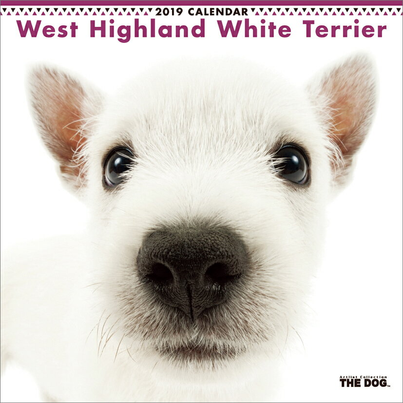 ウエスト・ハイランド・ホワイト・テリア（2019年1月始まりカレンダー）