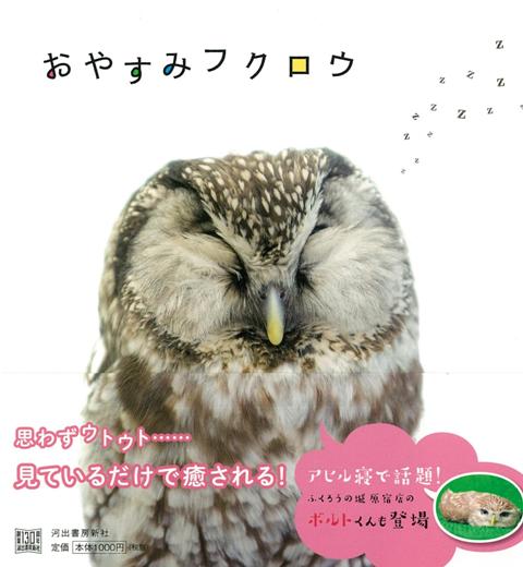 【バーゲン本】おやすみフクロウ