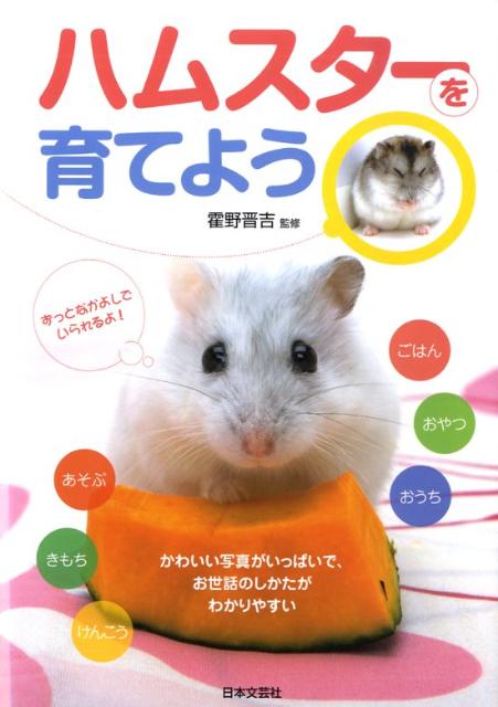 【バーゲン本】ハムスターを育てよう