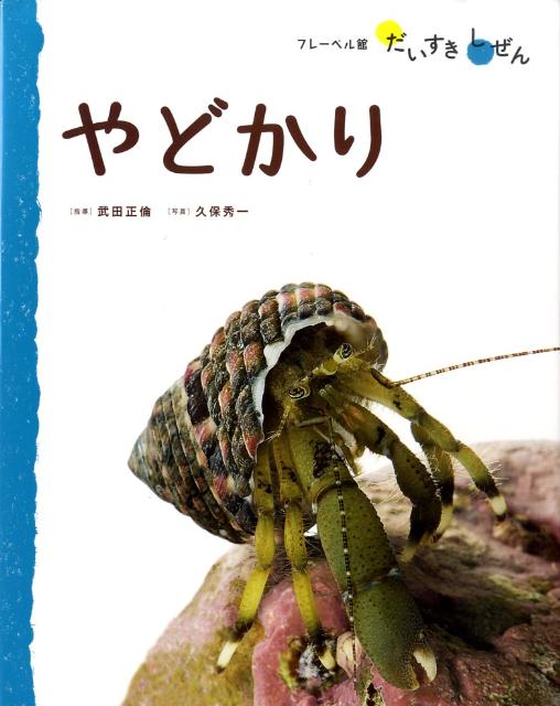 やどかり （フレーベル館だいすきしぜん） [ 武田正倫 ]のサムネイル